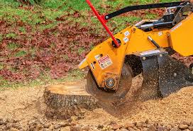 Lawn Pest Prevention in Soulsbyville, CA