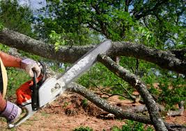 Best Lawn Irrigation Installation and Maintenance  in Soulsbyville, CA