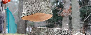 Best Leaf Removal  in Soulsbyville, CA